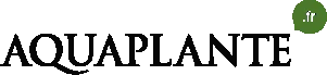 Aquaplante (nouvel onglet)