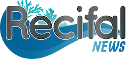 Recifal News (nouvel onglet)
