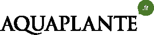 Aquaplante