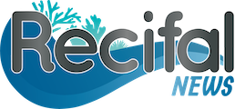 Recifal News