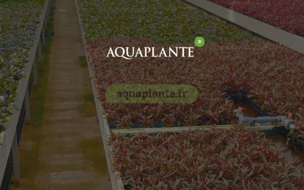 Serres de production Aquaplante, image de fin de la publicité vidéo