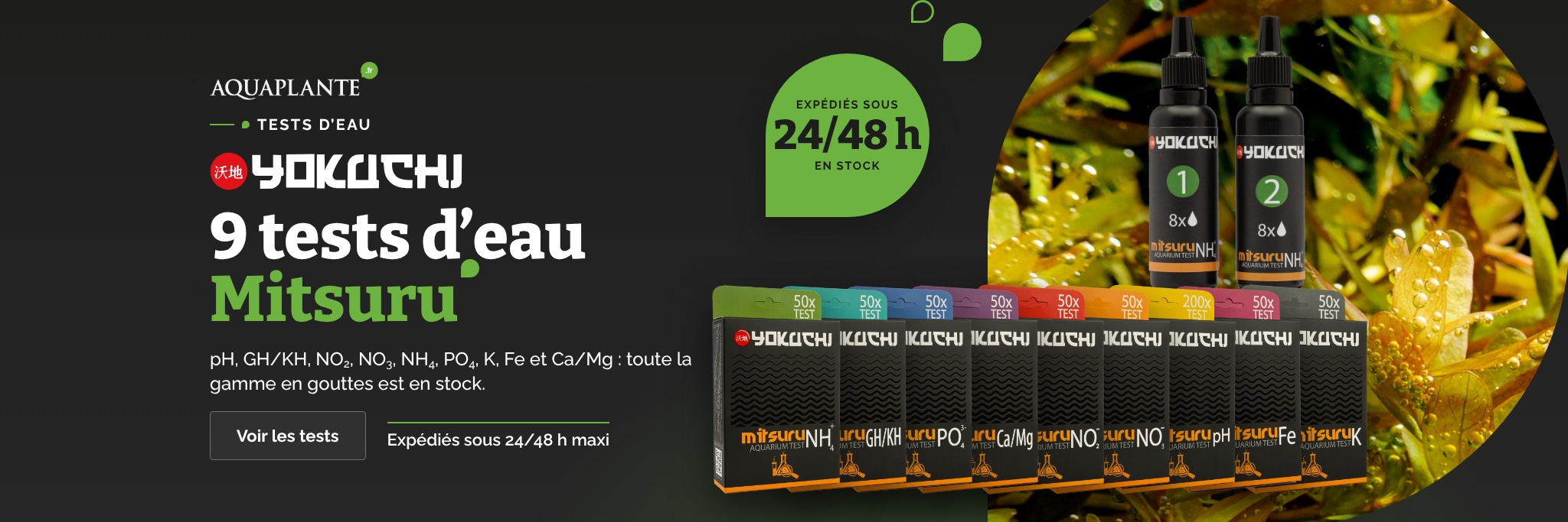 Bannière du site aquaplante.fr : Yokuchi Mitsuru